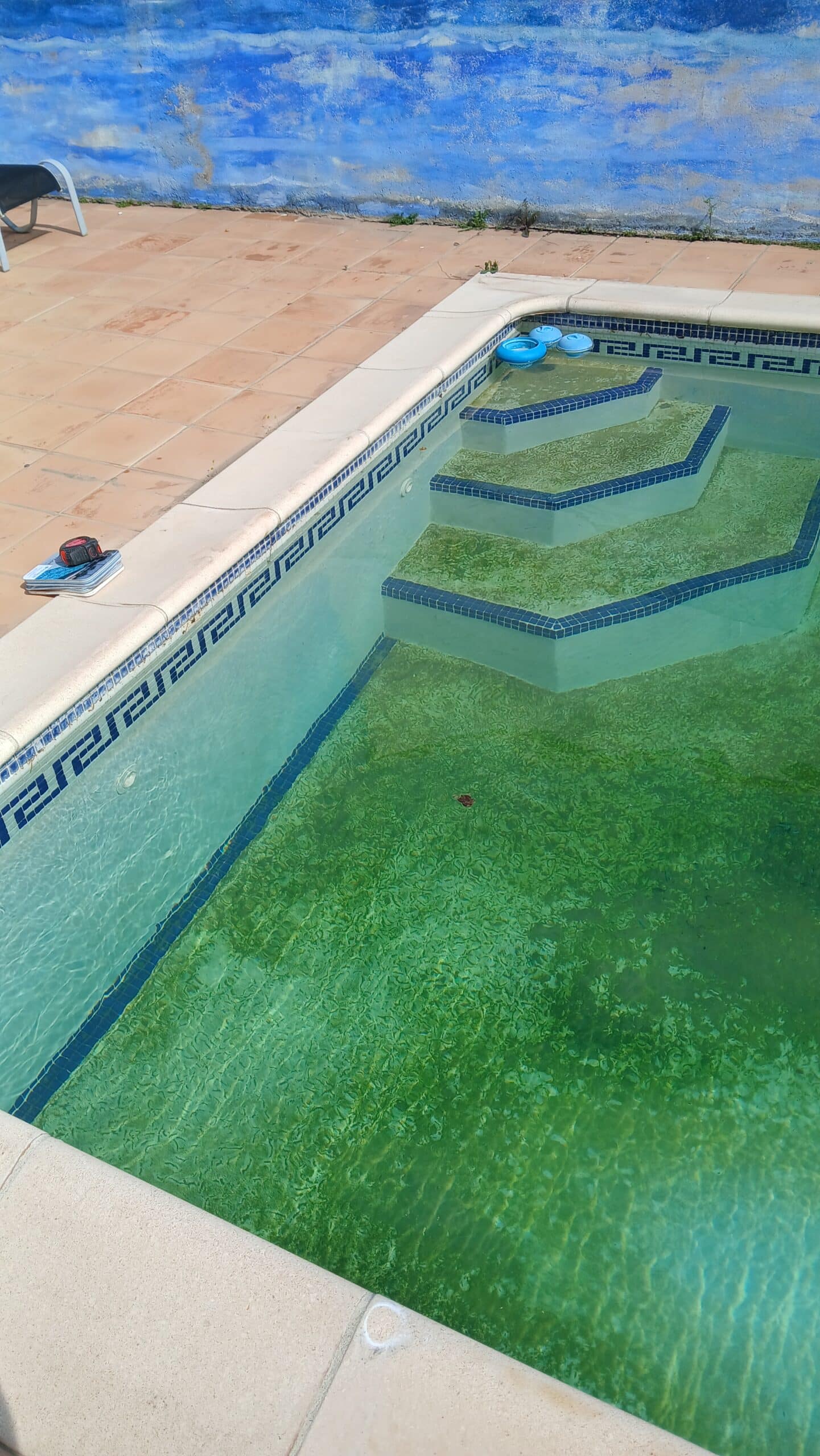 Escalier de piscine avec eau verte stagnante et dépôt d'algues sur le fond et les parois carrelées.