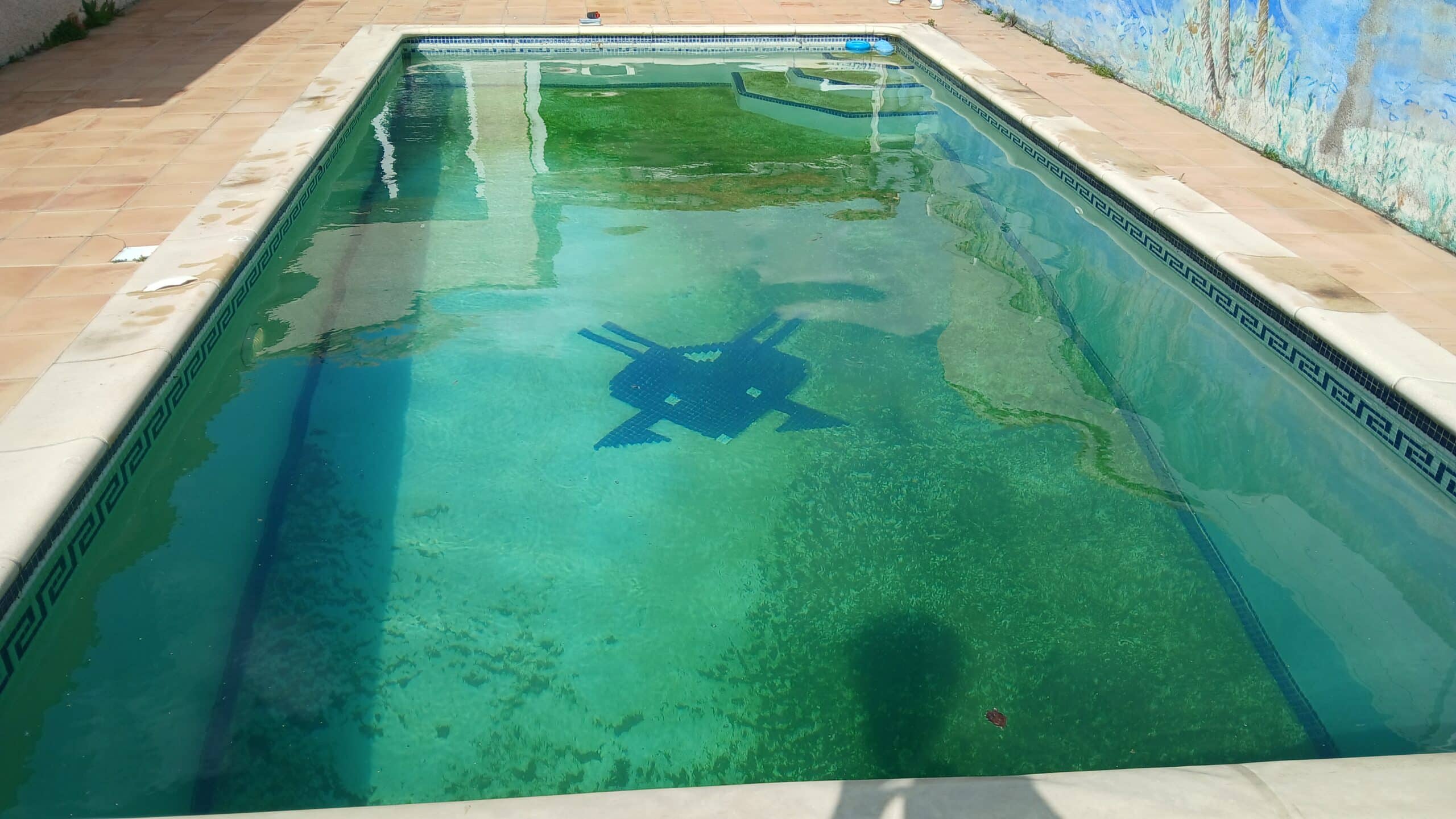 Piscine rectangulaire à l'eau verte trouble avec mosaïque bleue au fond et bordure à motifs grecs sur terrasse dallée.