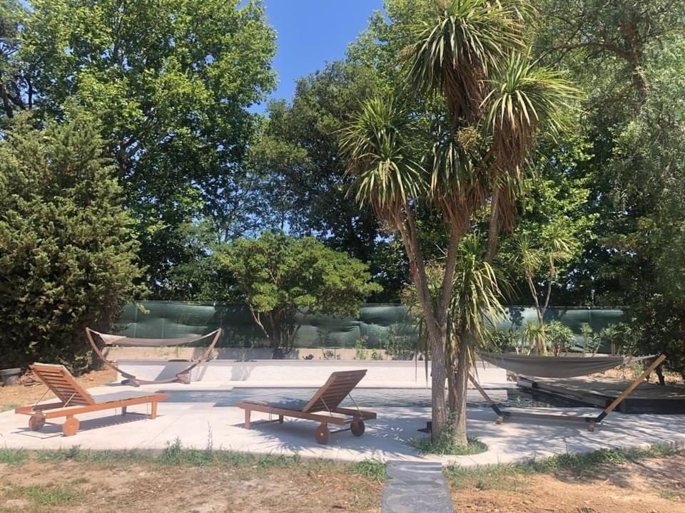 Piscine avec chaises longues en bois et hamacs entourés d'arbres tropicaux dans un jardin ensoleillé.