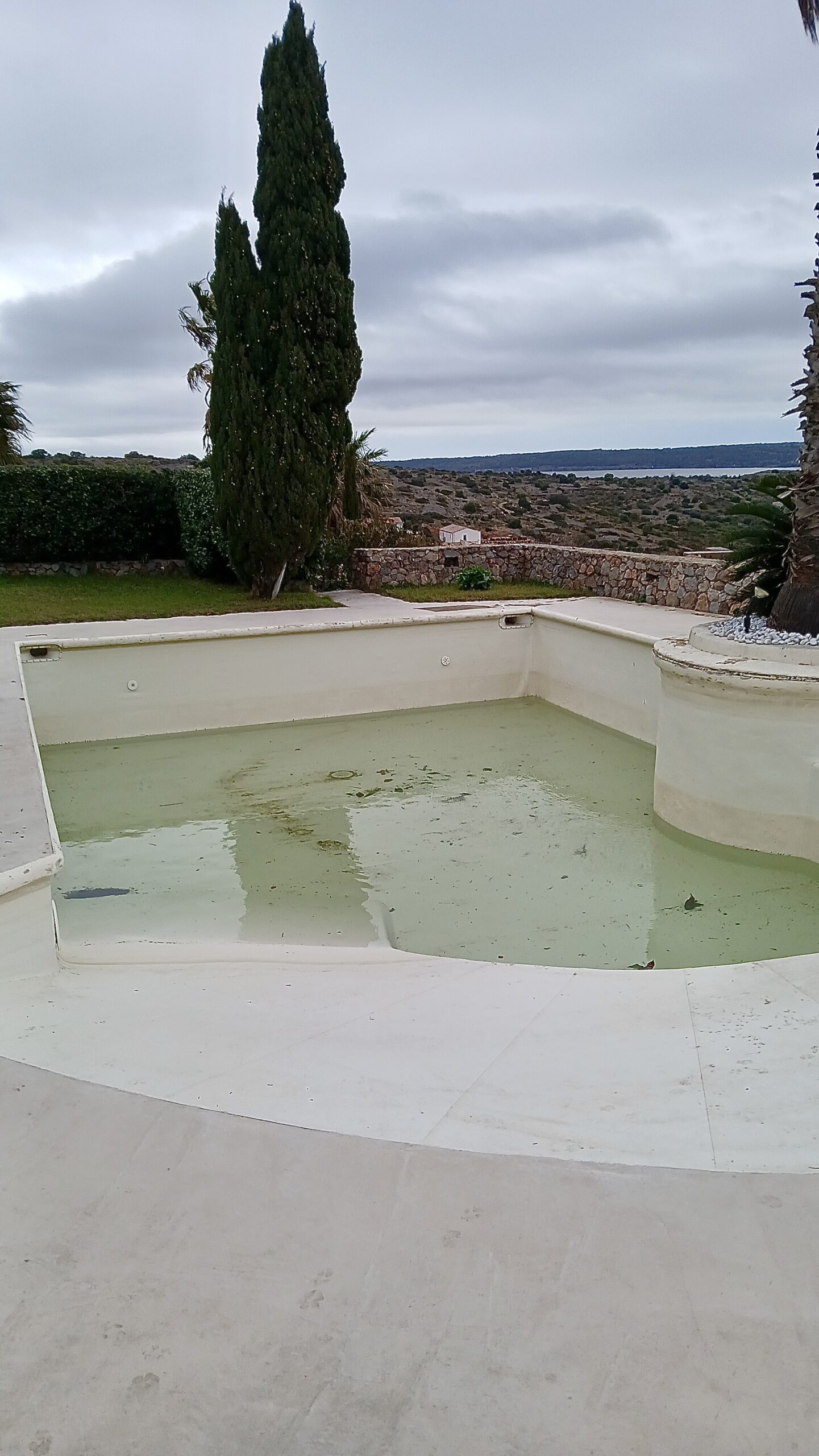 Piscine à moitié vide avec eau stagnante verte devant un cyprès et un paysage côtier sous un ciel gris couvert.