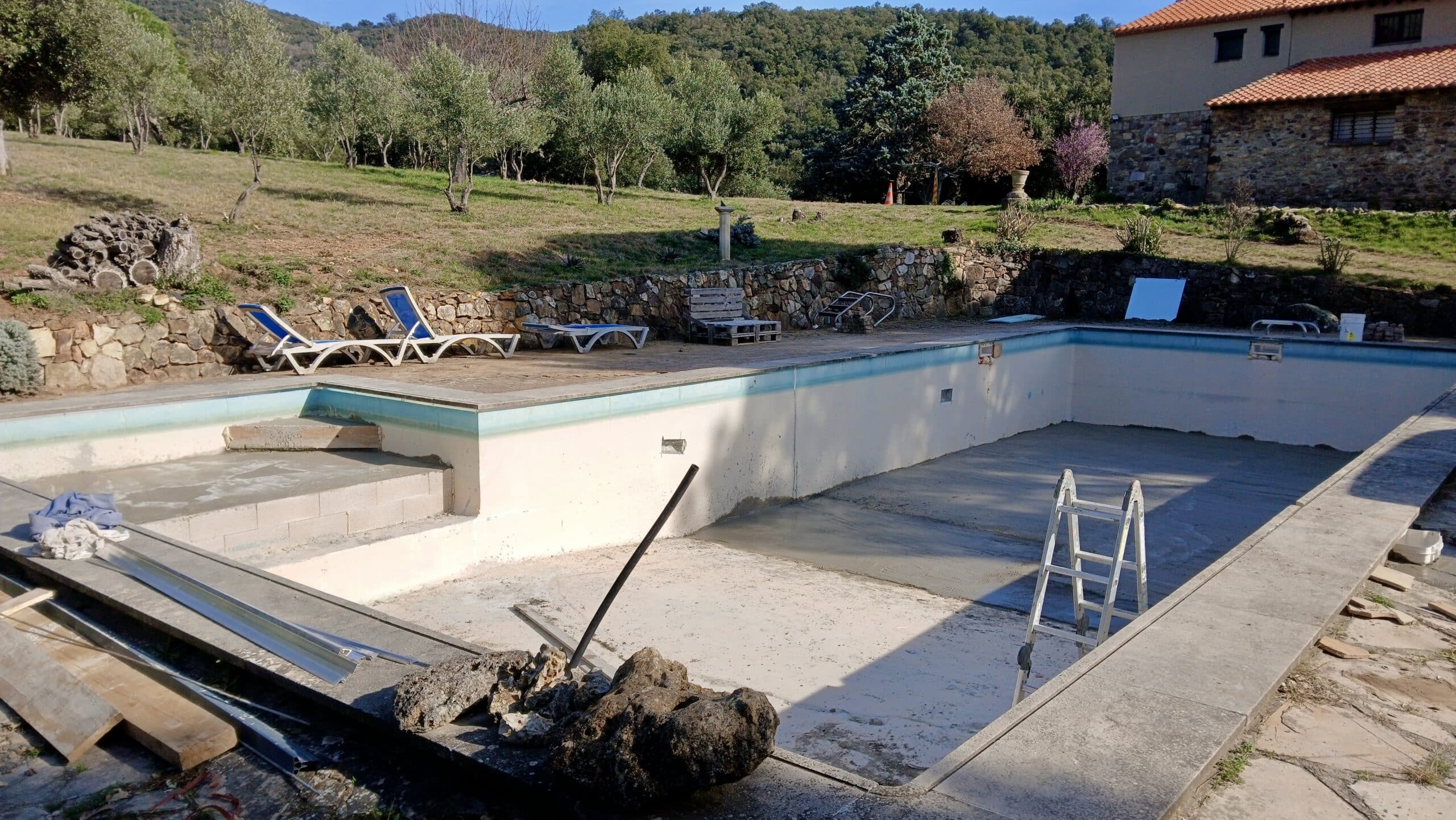 Rénovation d'une piscine avec échelle et transats, entourée d'oliviers et d'une maison provençale en pierre.