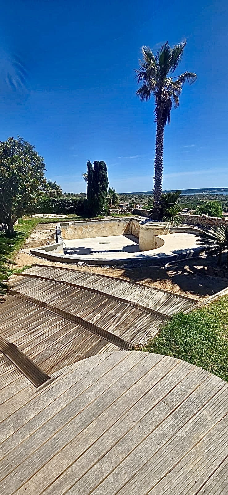 Piscine vide en rénovation avec terrasse en bois et grand palmier sous un ciel bleu dégagé face à la mer.